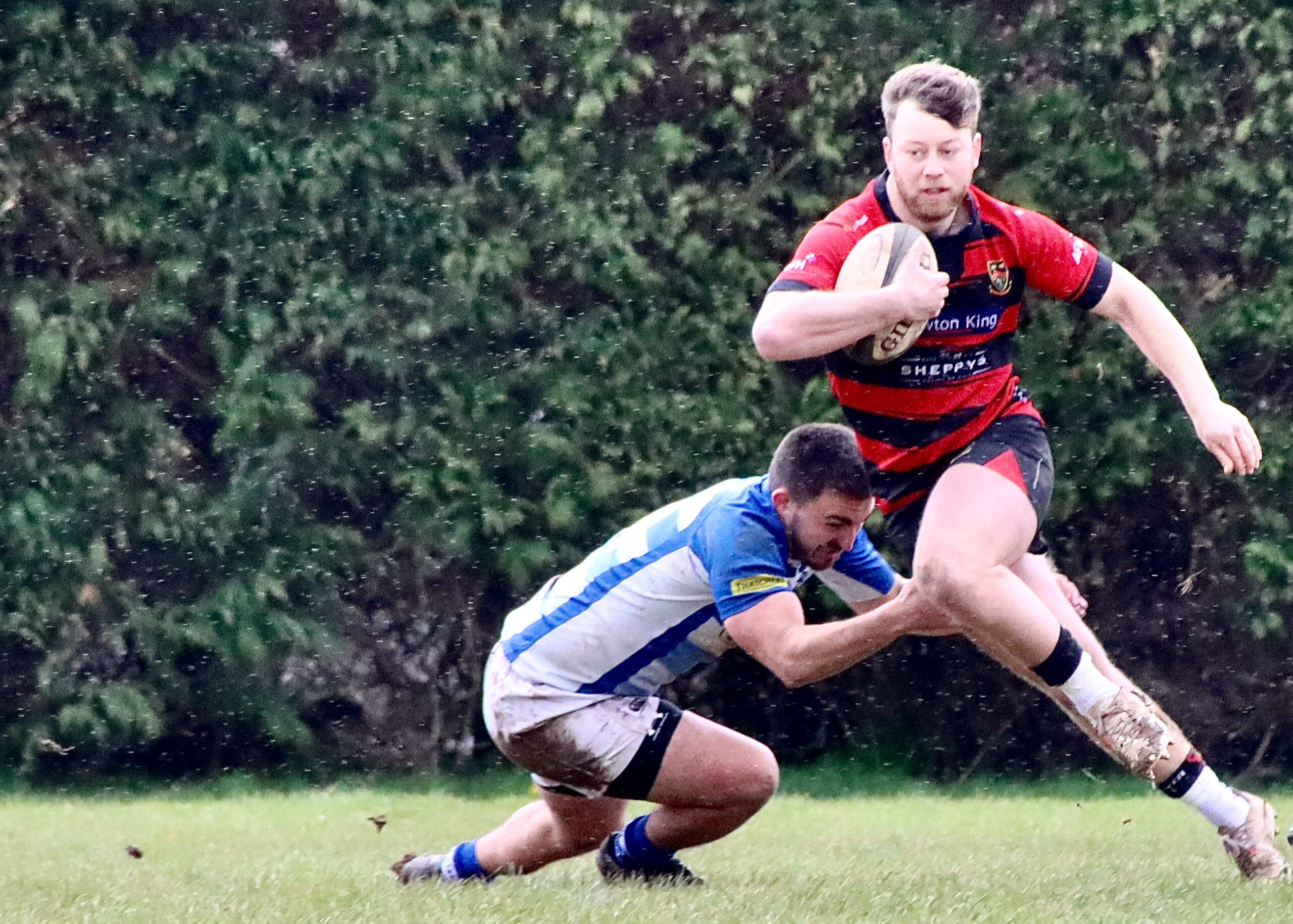 Home defeat ends Chiefs’ league season - Around Wellington