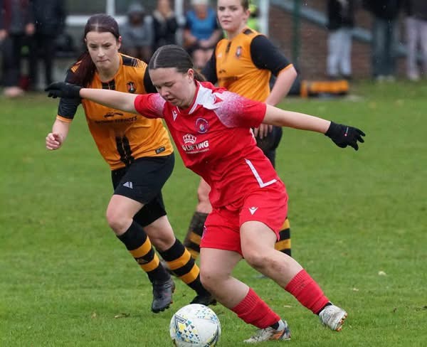 Wildcats inflict first defeat on leaders - Around Wellington
